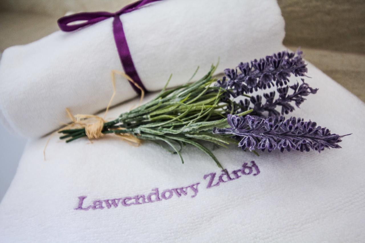 Lawendowy Zdroj Medycyna I Spa Busko Zdroj Exterior photo
